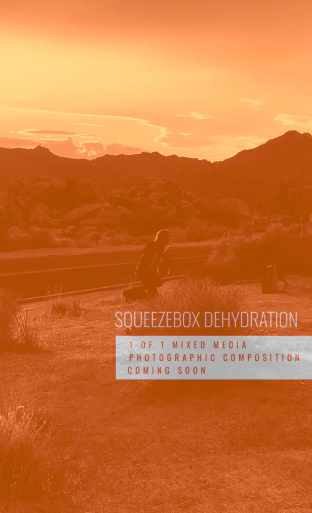 Surreal landscape with a person on a bench under an orange sky, featuring text about Squeezebox Dehydration.