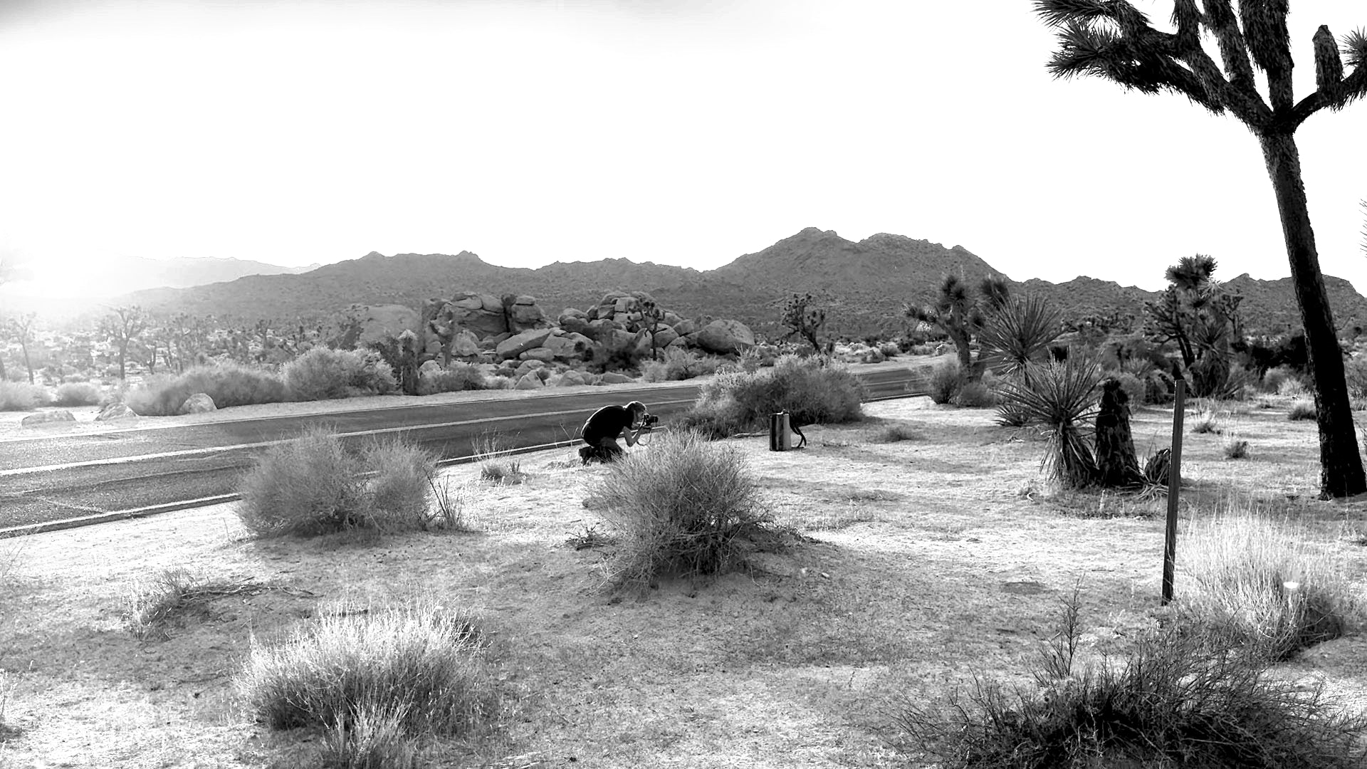Desert landscape with Joshua trees and a road in black and white, fine art photographer Mark Maryanovich photographing an accordion.