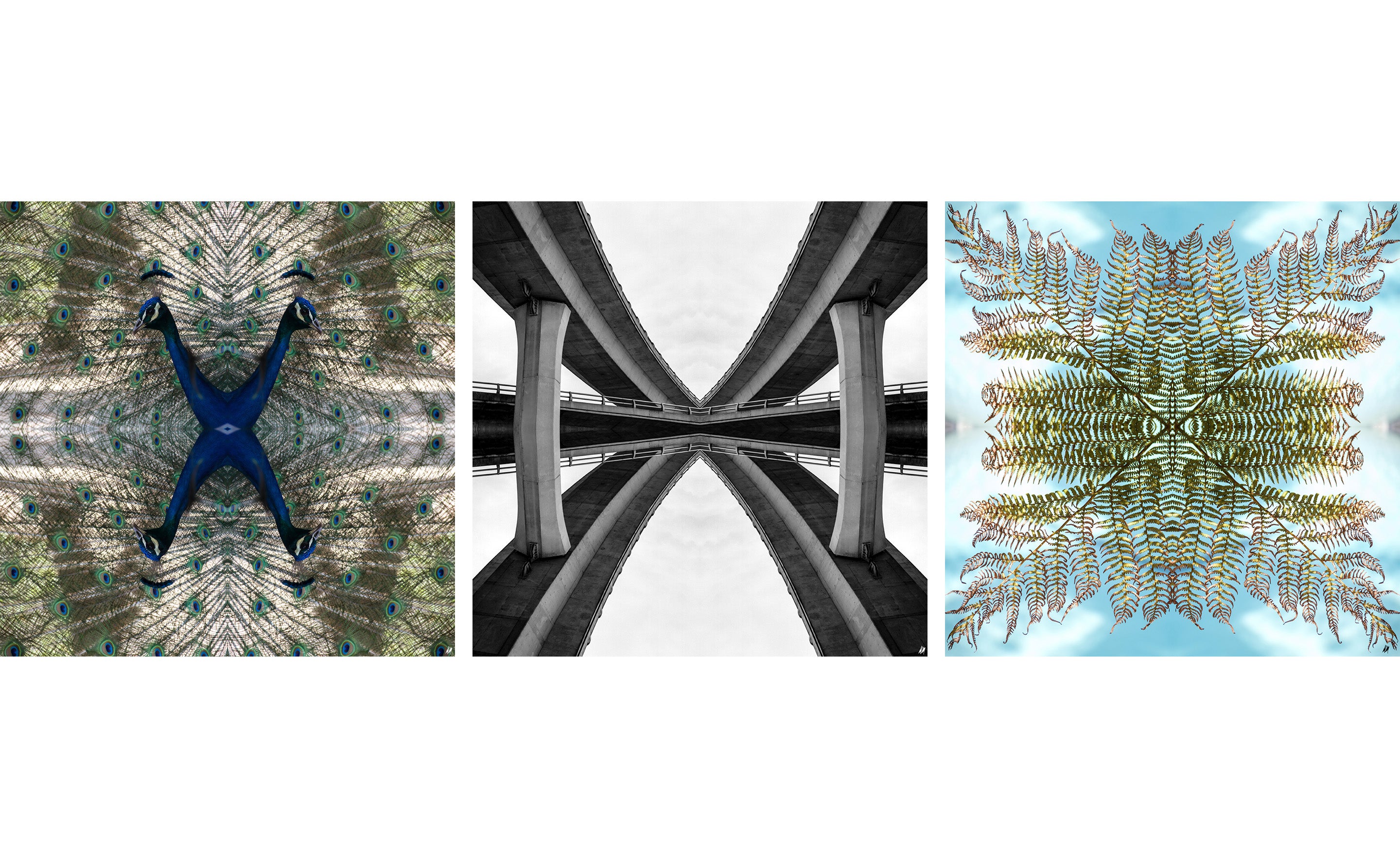 Three abstract images: a person in blue pants, a geometric black and white pattern, and a plant-like design.
