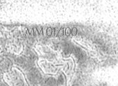 A close-up grayscale texture or material swatch with abstract wavy lines and the overlaid text 'MM01/100'.