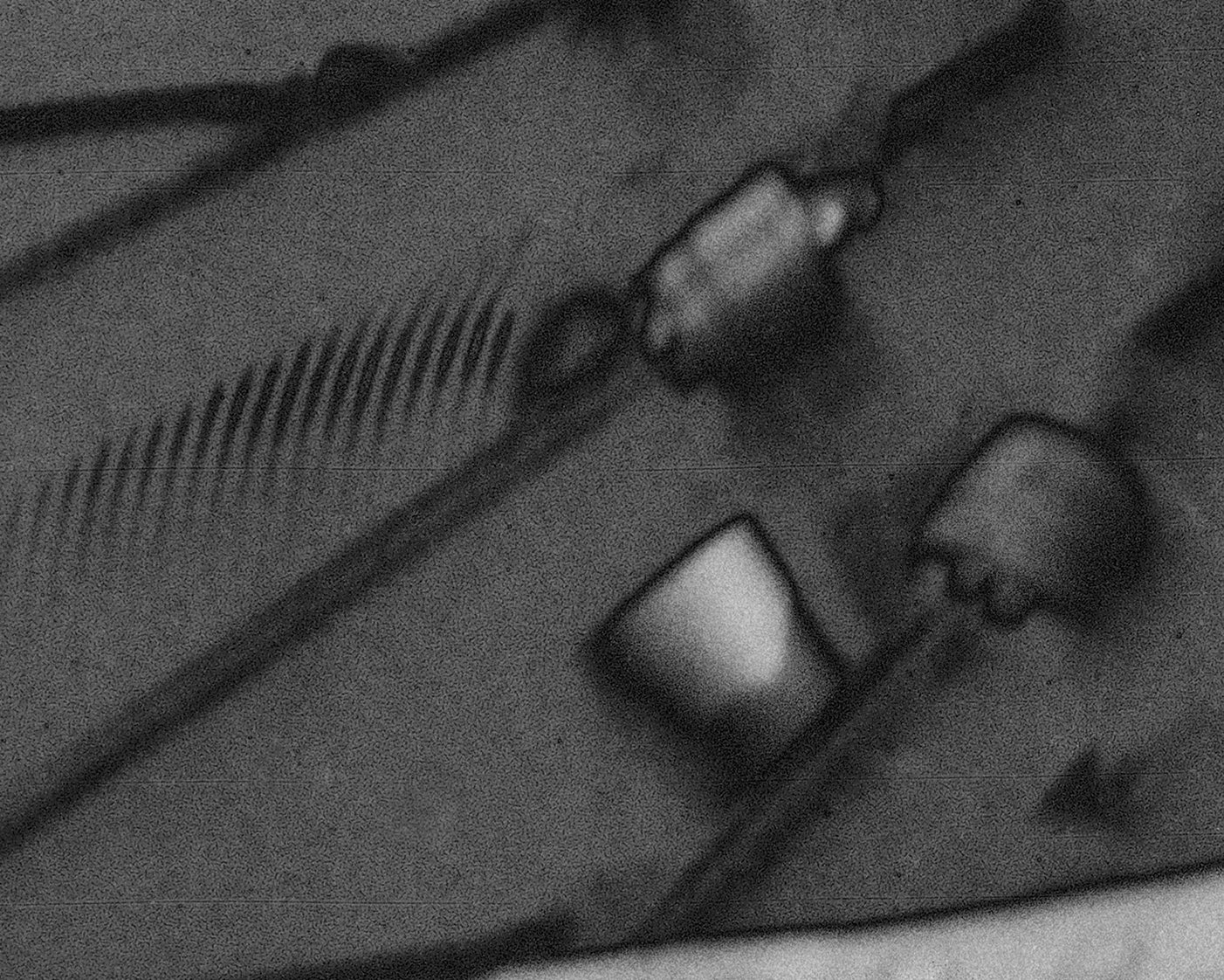 A close-up, grainy black and white photograph of a textured surface with abstract geometric shapes and fine parallel lines.