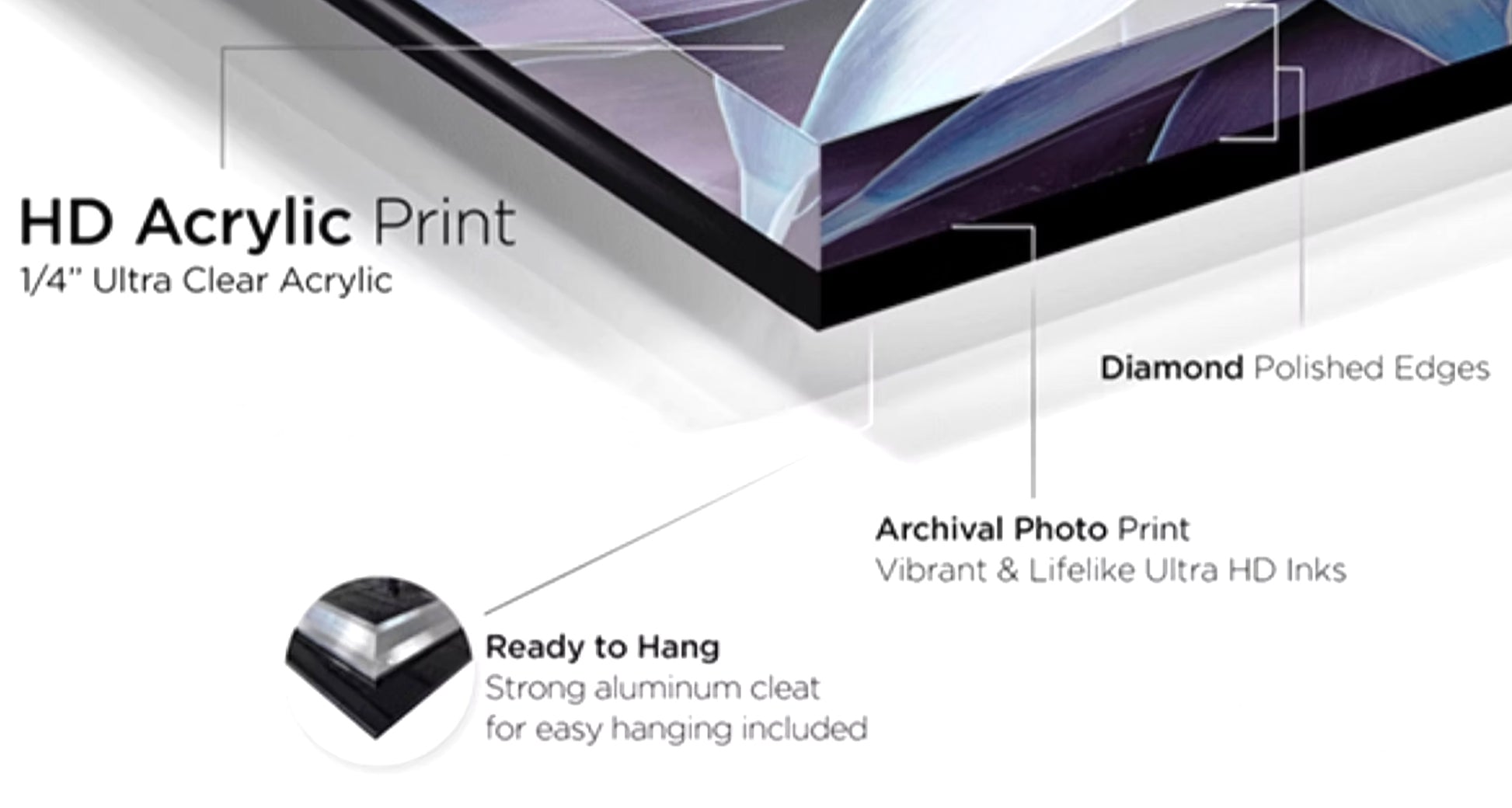 HD Acrylic Print with features highlighted on a white background