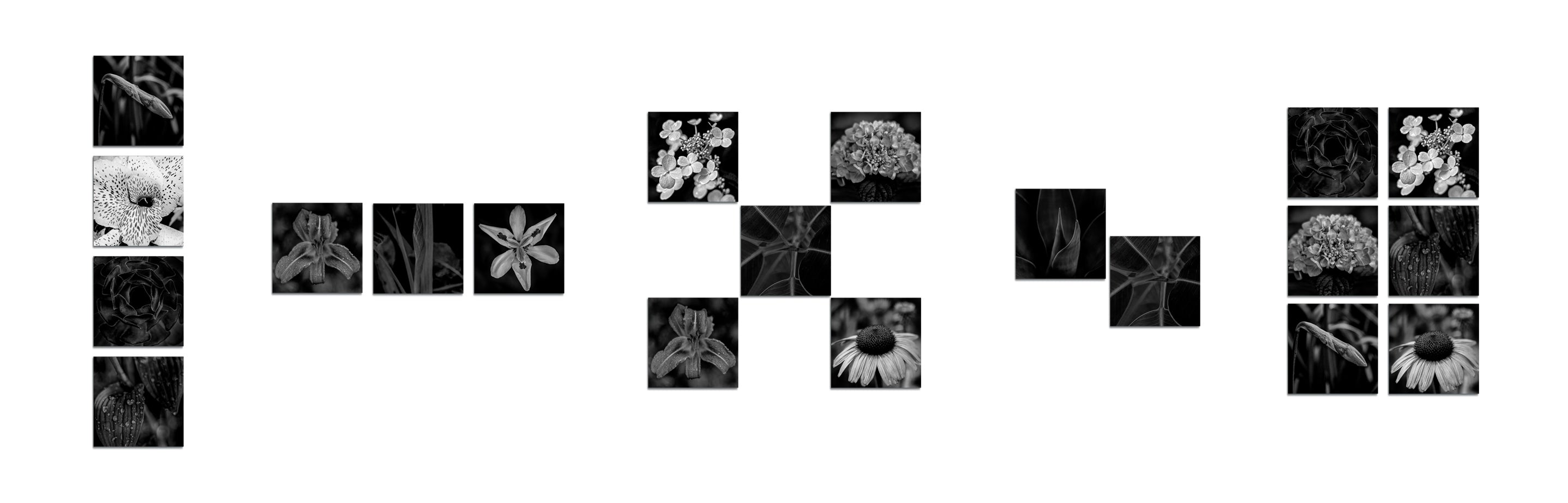 Square metal black and white metal floral prints displayed in various groupings