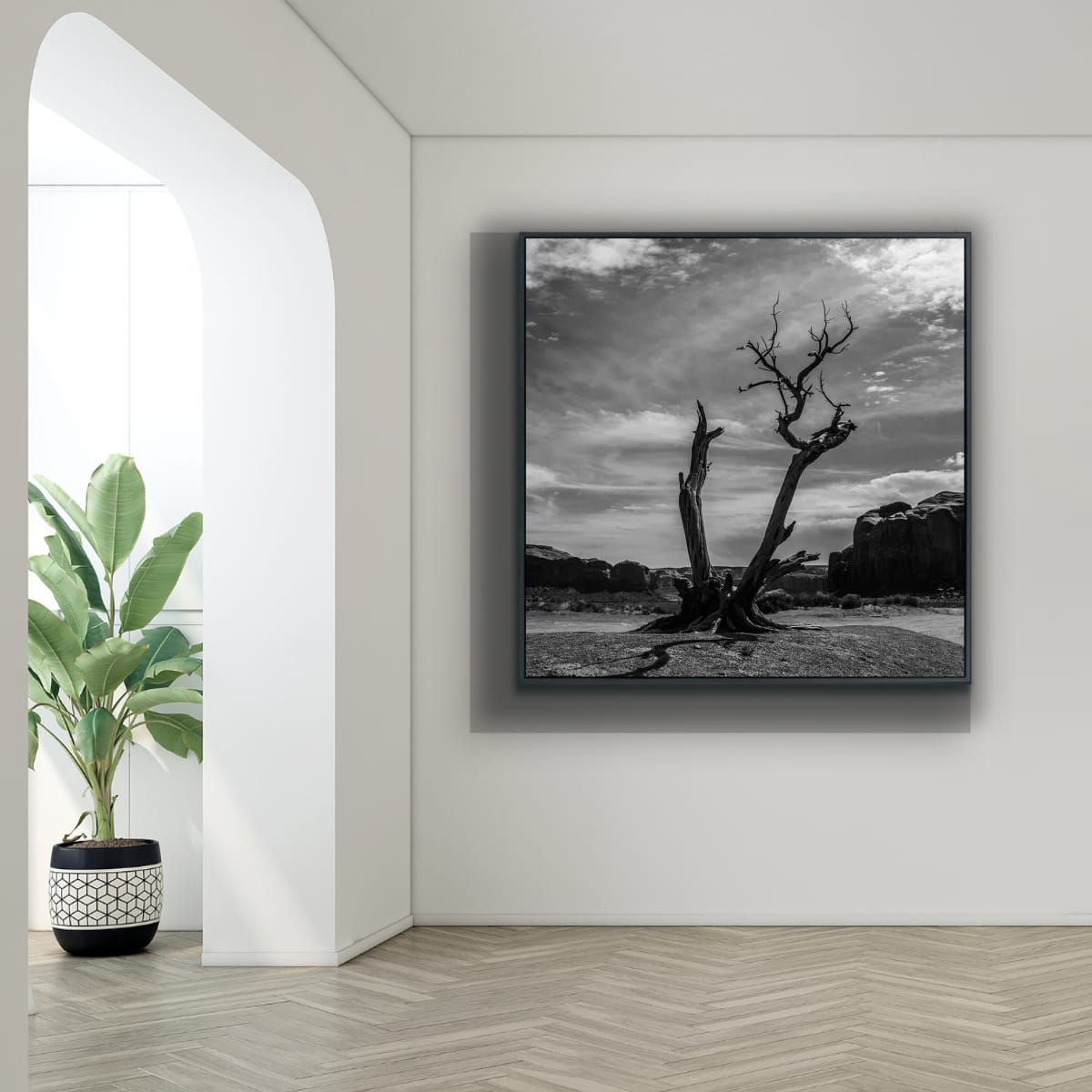 Framed black and white artwork in a modern interior setting, featuring a black and white 48x48 photograph of a lone, dead tree branched in two cradled by rock formations against a cloudy sky in Monument Valley.