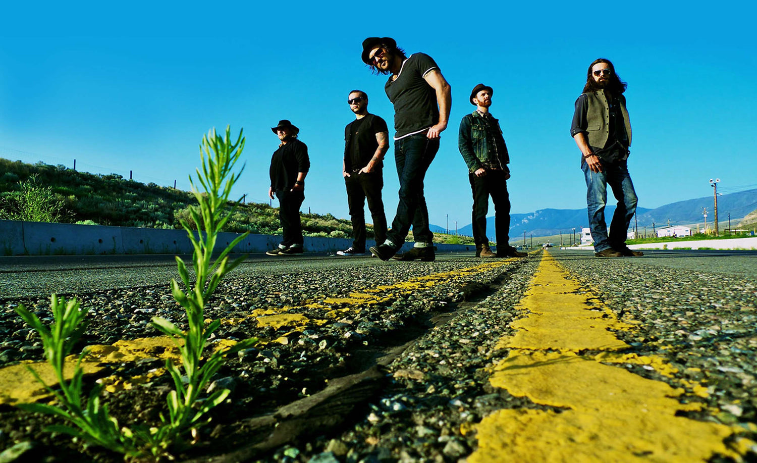 Musical band portrait The Matinee standing middle road behind green weeds yellow road lines