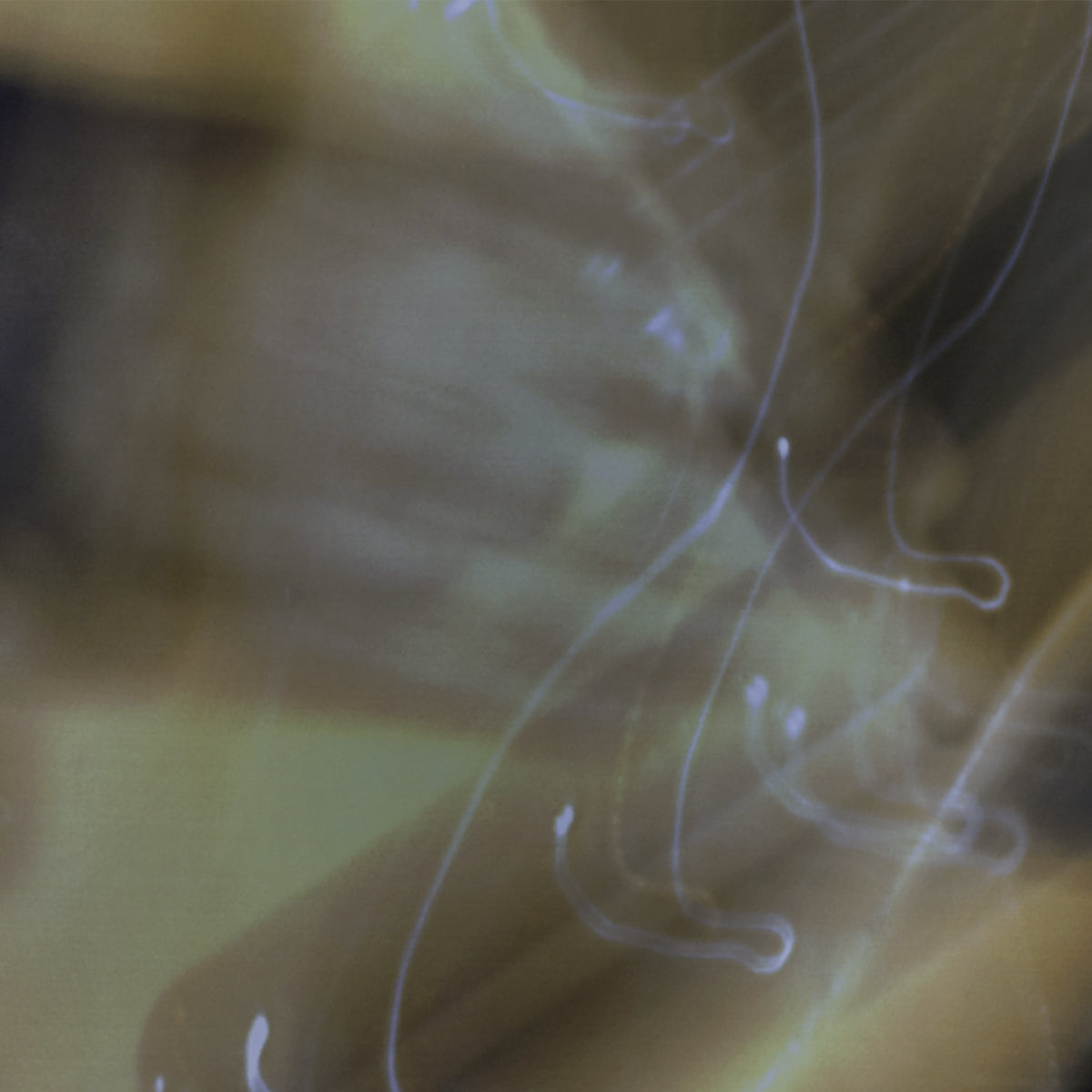 Close-up of a person's hand with a blurred background